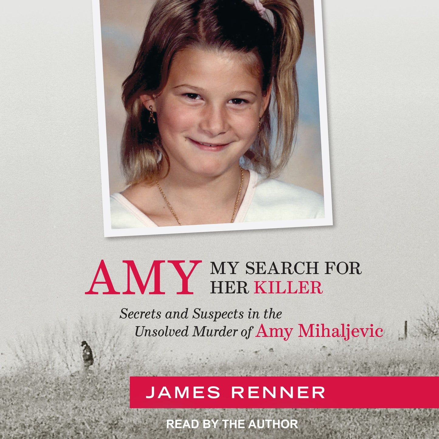 Amy: My Search for Her Killer: Secrets and Suspects in the Unsolved Murder of Amy Mihaljevic