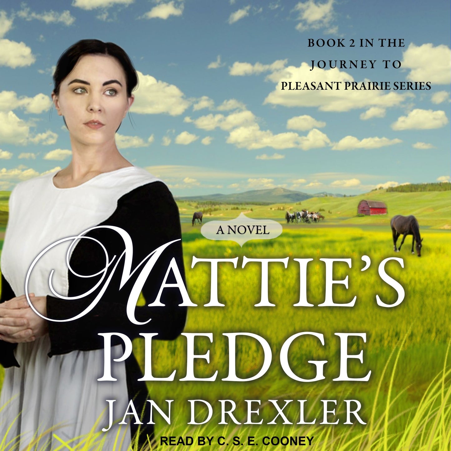 Mattie's Pledge: A Novel