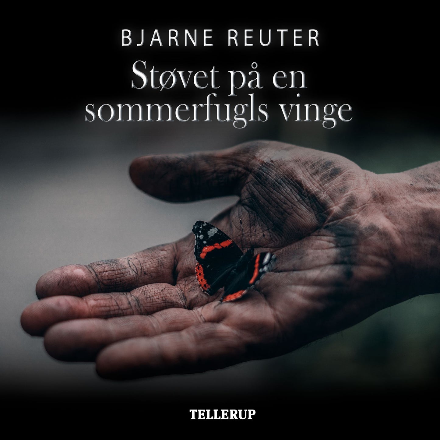 Støvet på en sommerfugls vinge