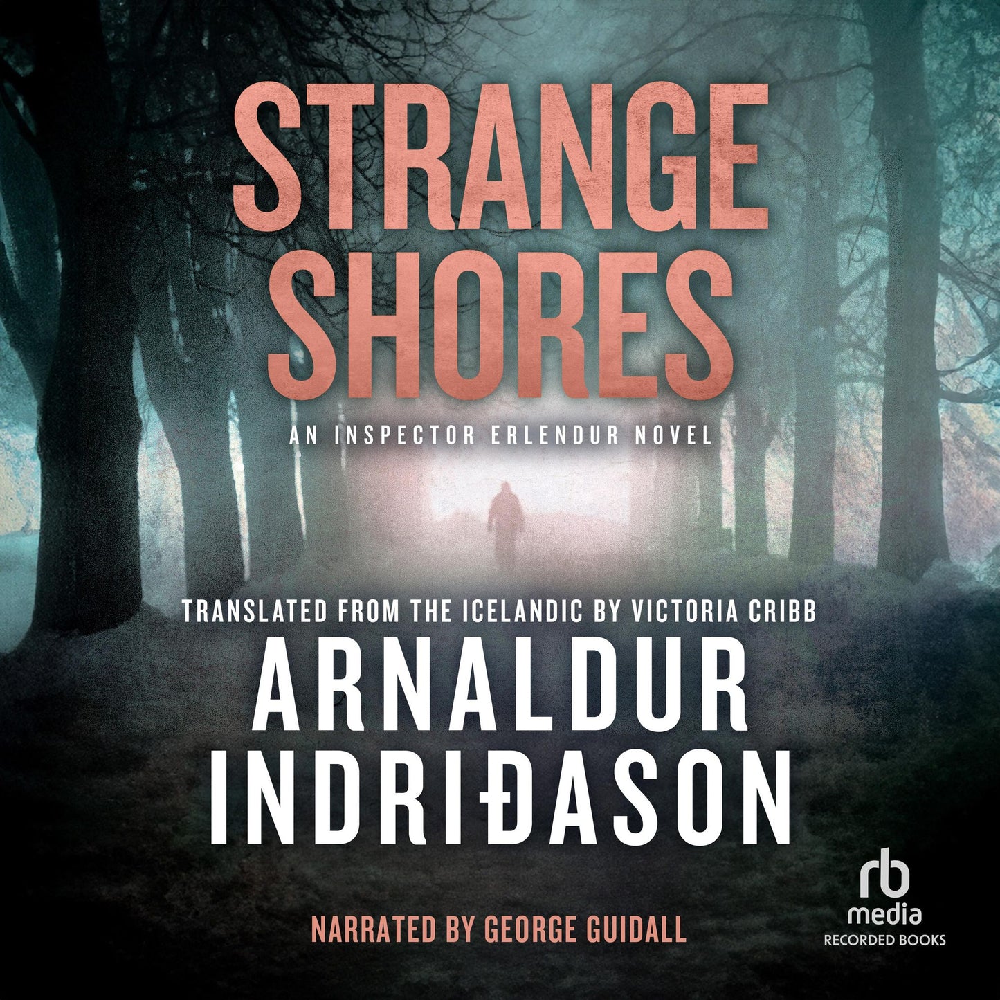 Strange Shores: An Inspector Erlendur Novel