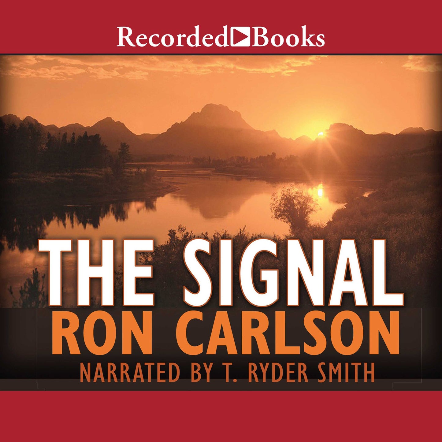 The Signal: A Novel