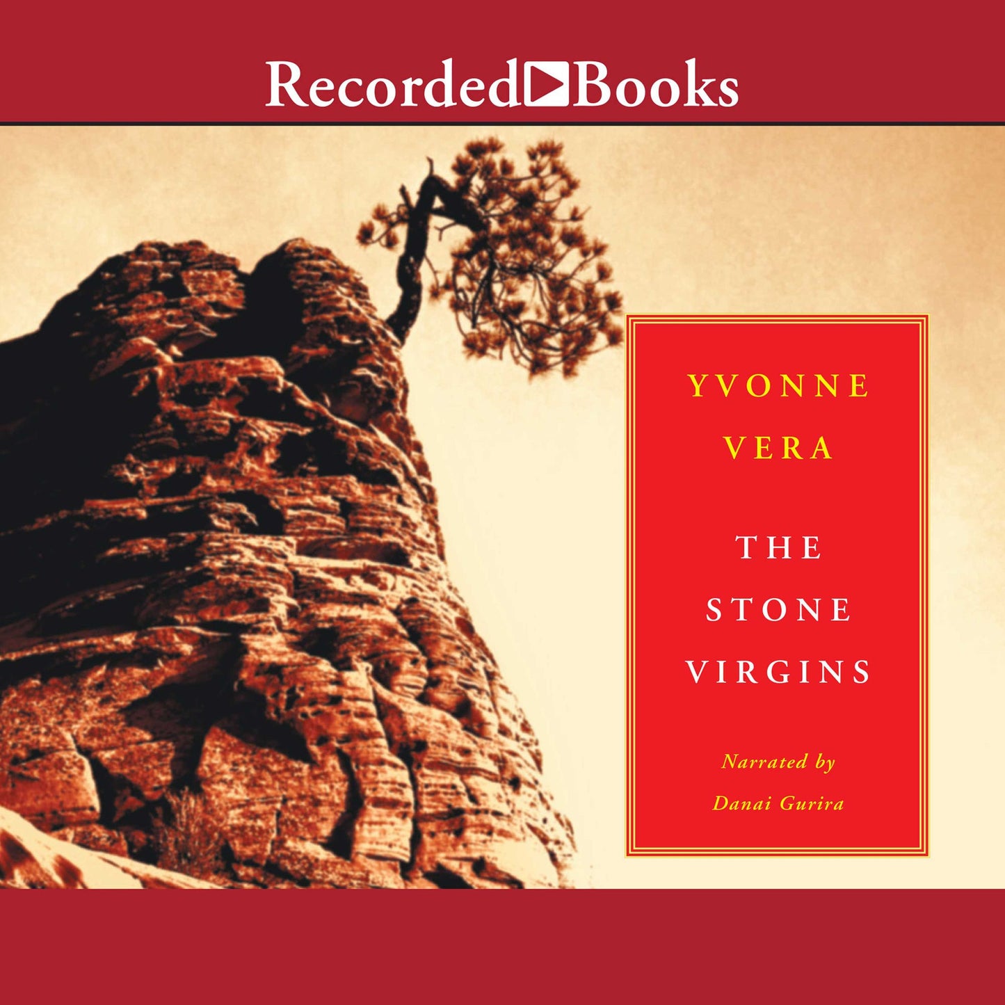 The Stone Virgins: A Novel