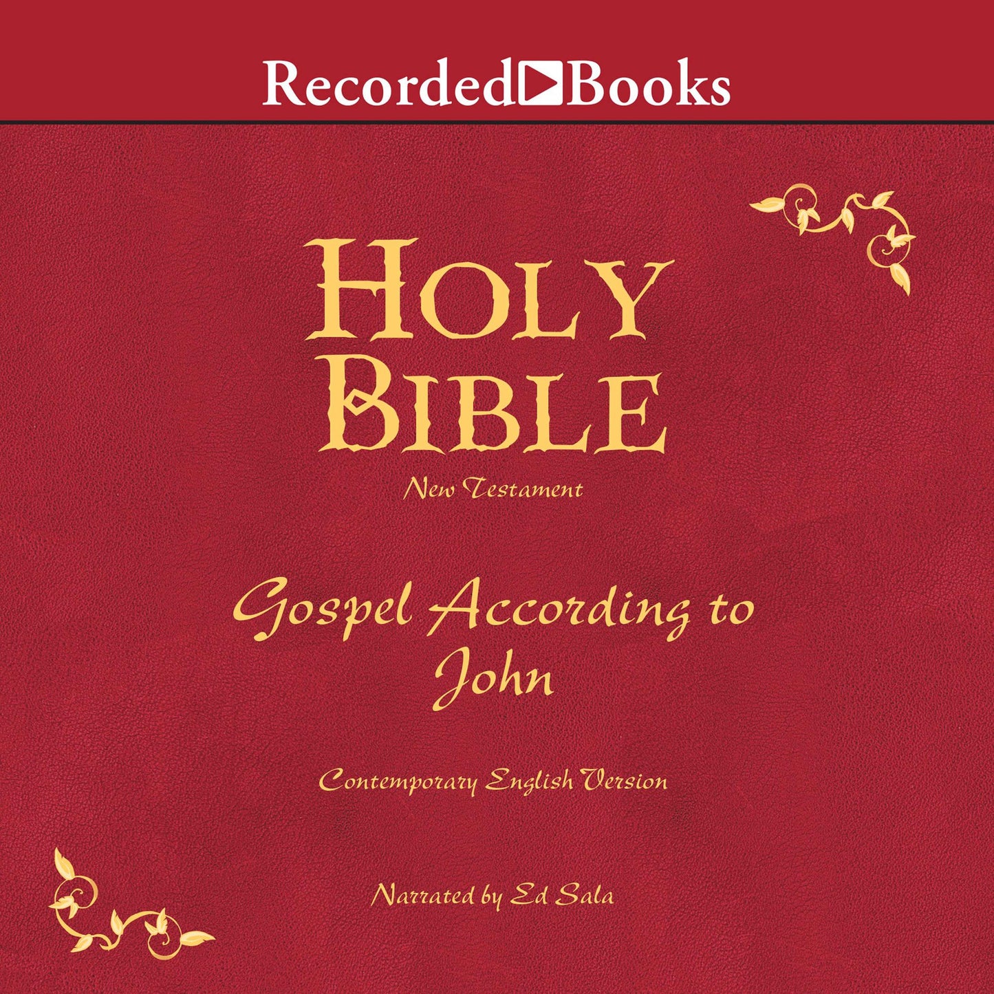 Holy Bible: New Testament, Gospel According To John