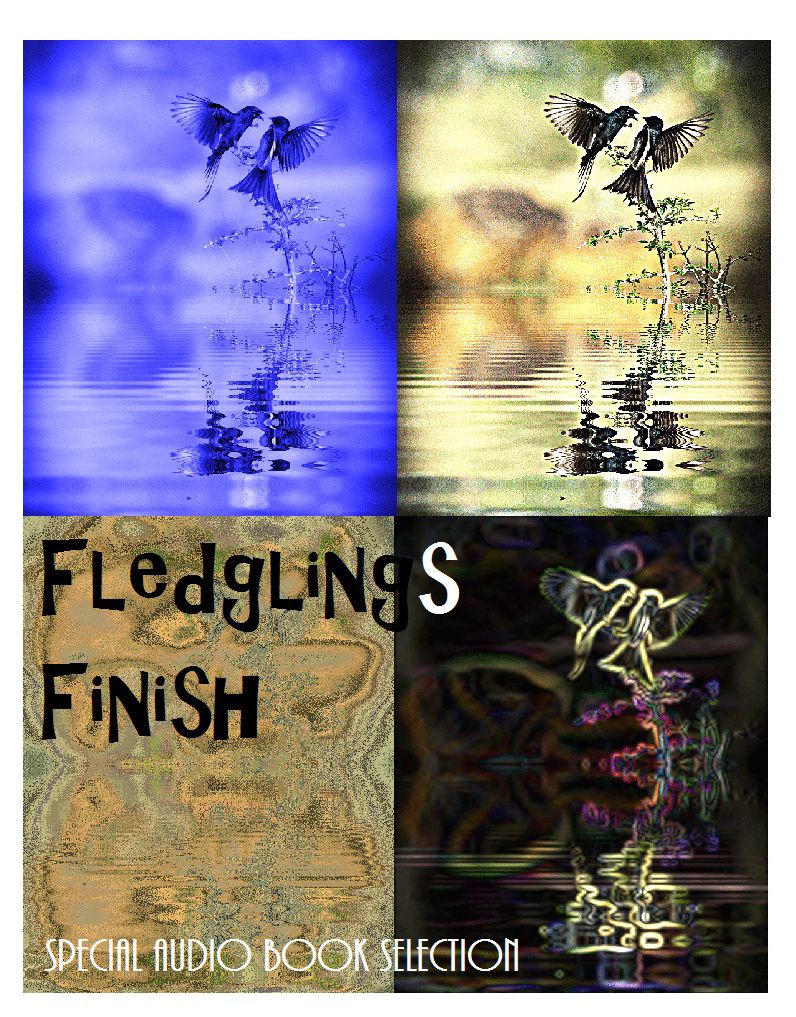 Fledglings Finish