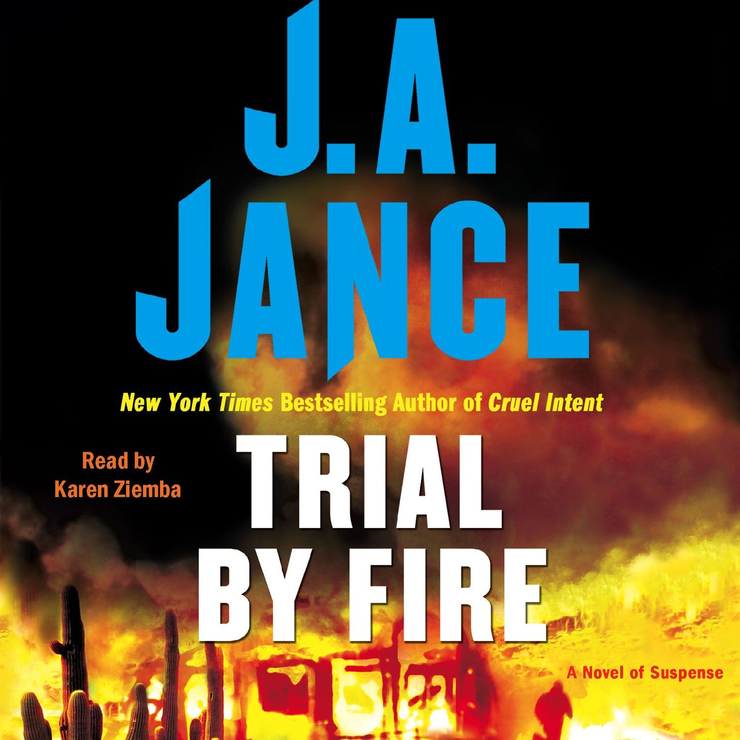 Trial By Fire: A Novel of Suspense (Abridged)