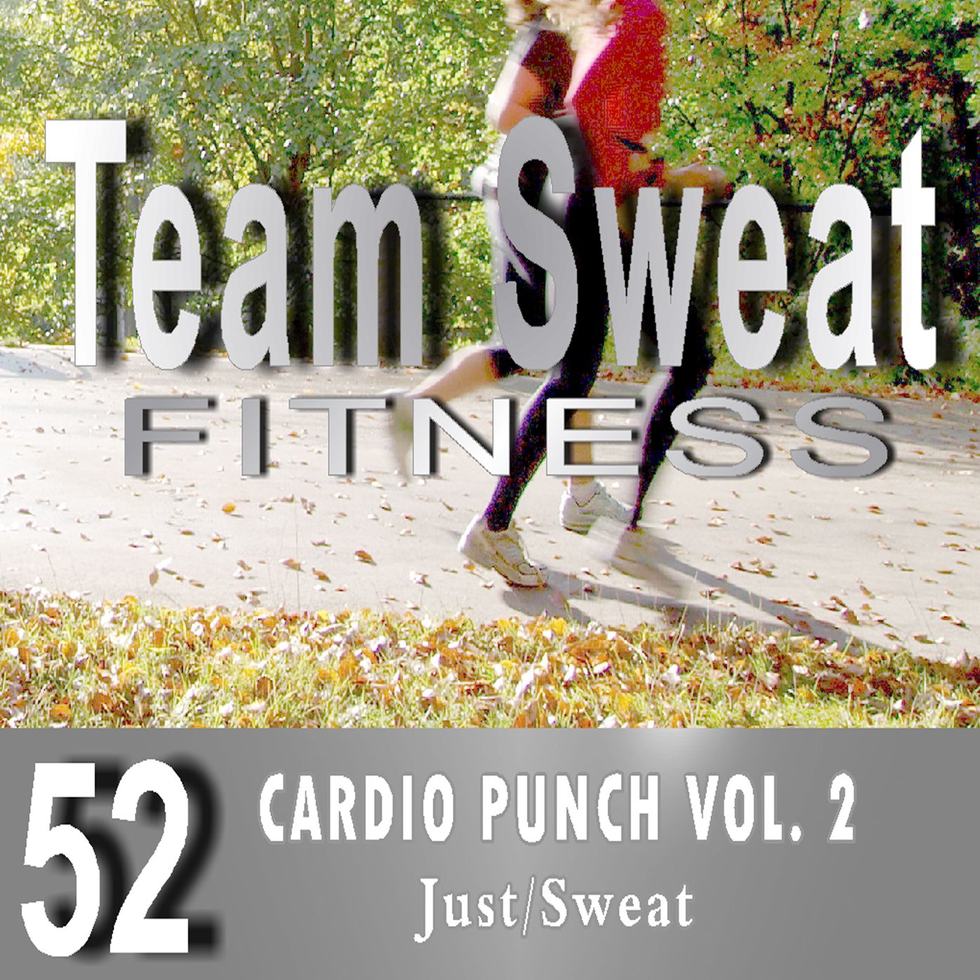 Cardio Punch: Volume 2: Team Sweat