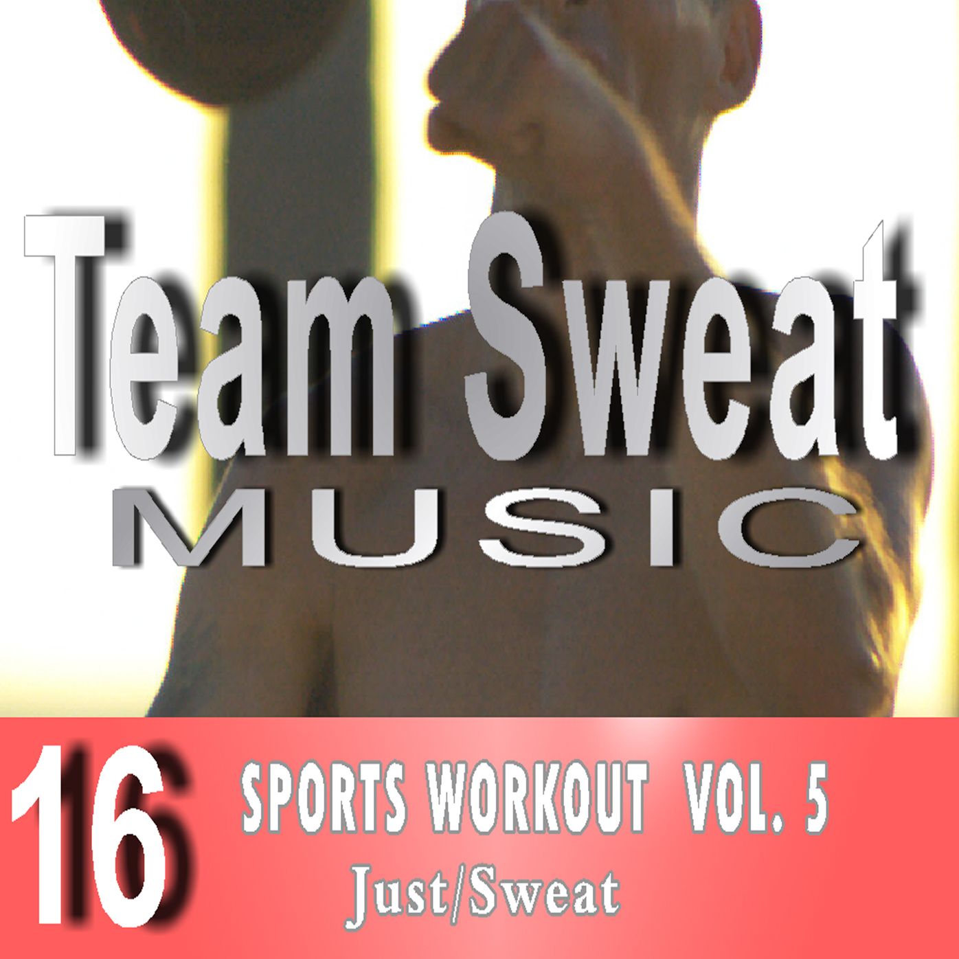 Sports Workout: Volume 5: Team Sweat