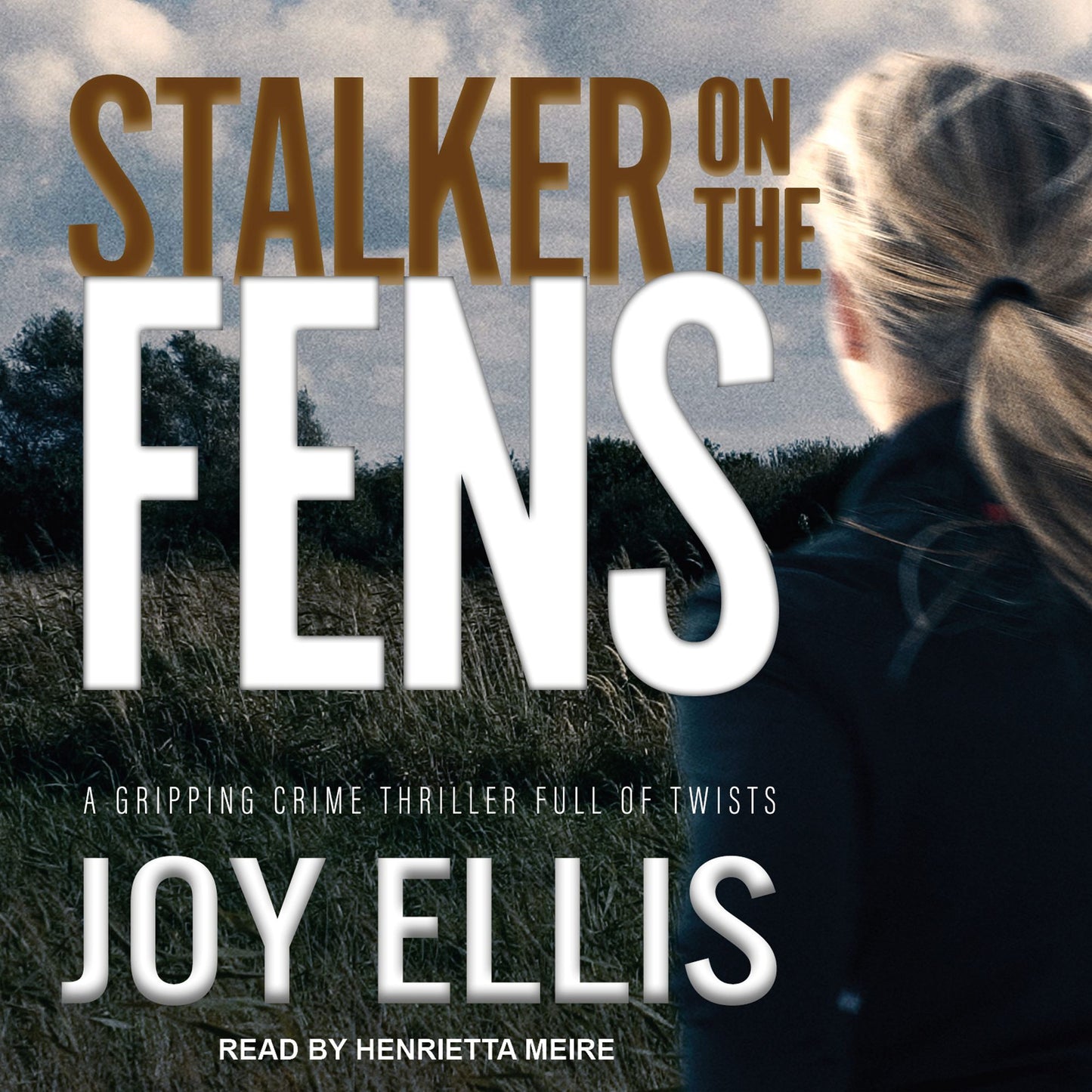 Stalker on the Fens: A Gripping Crime Thriller Full Of Twists
