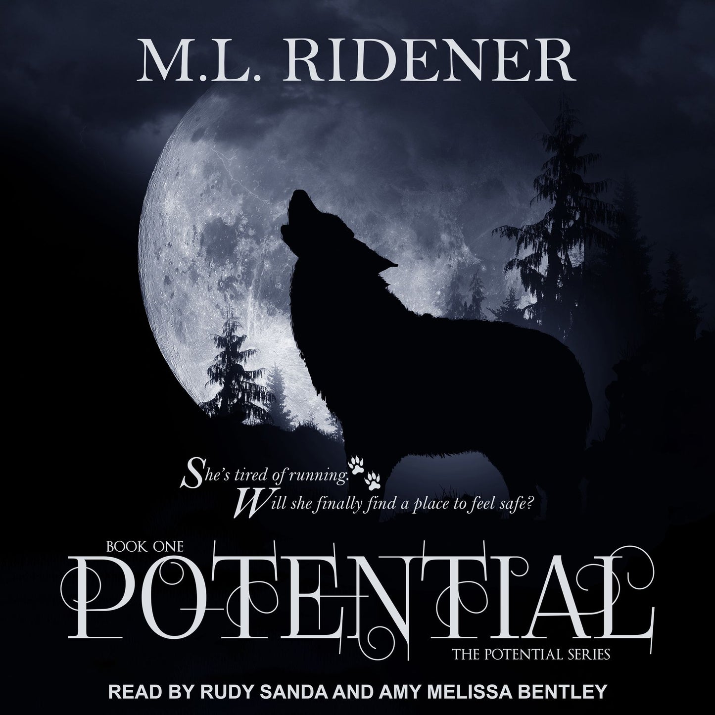 Potential: The Potential Series