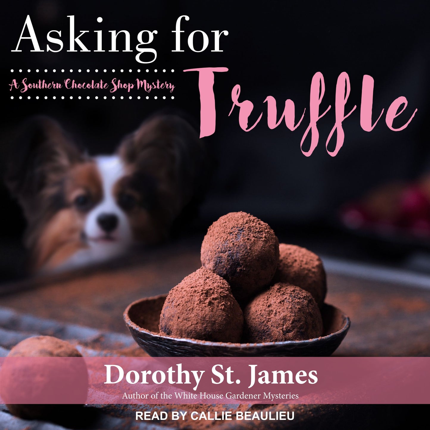 Asking for Truffle: A Southern Chocolate Shop Mystery