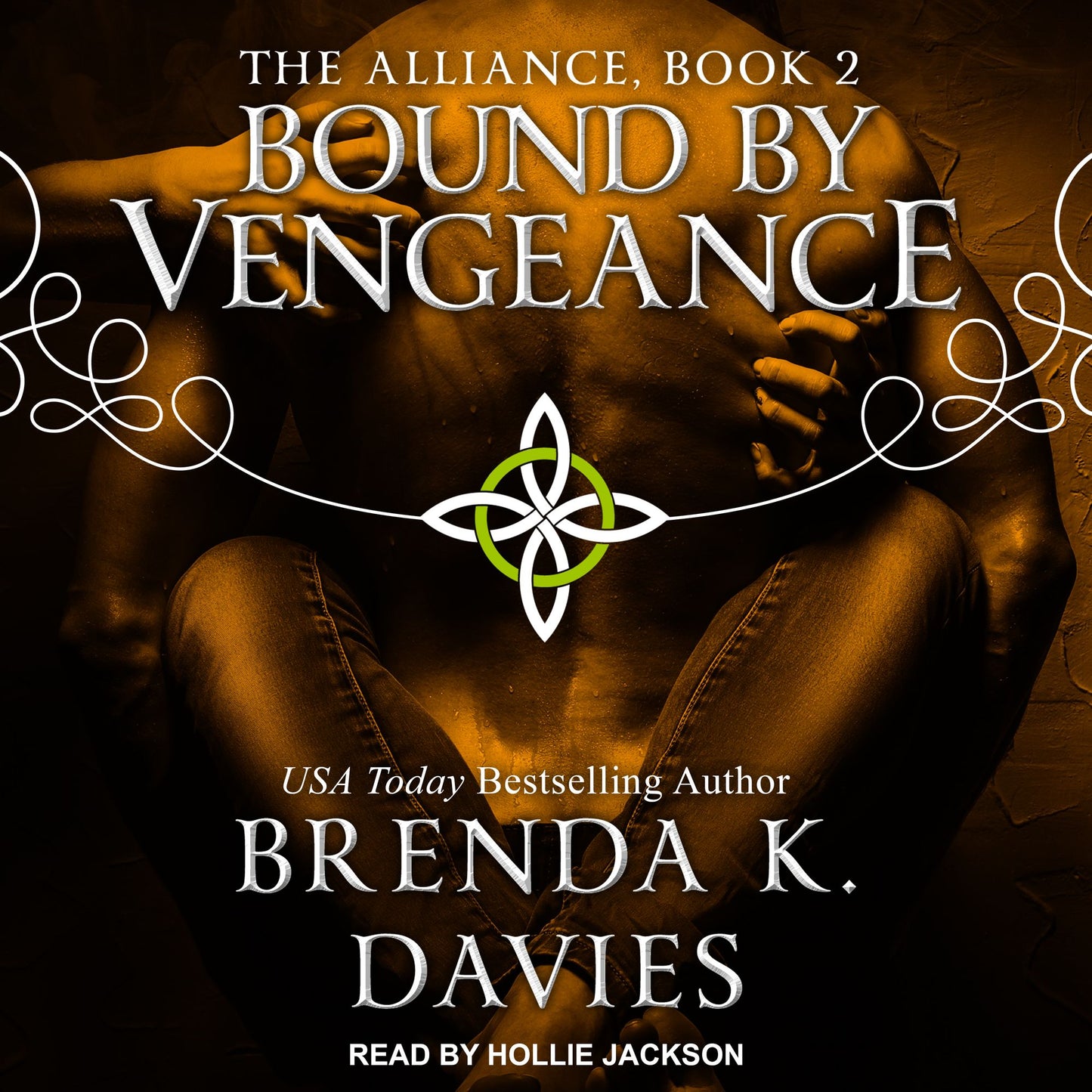 Bound by Vengeance: The Alliance, Book 2