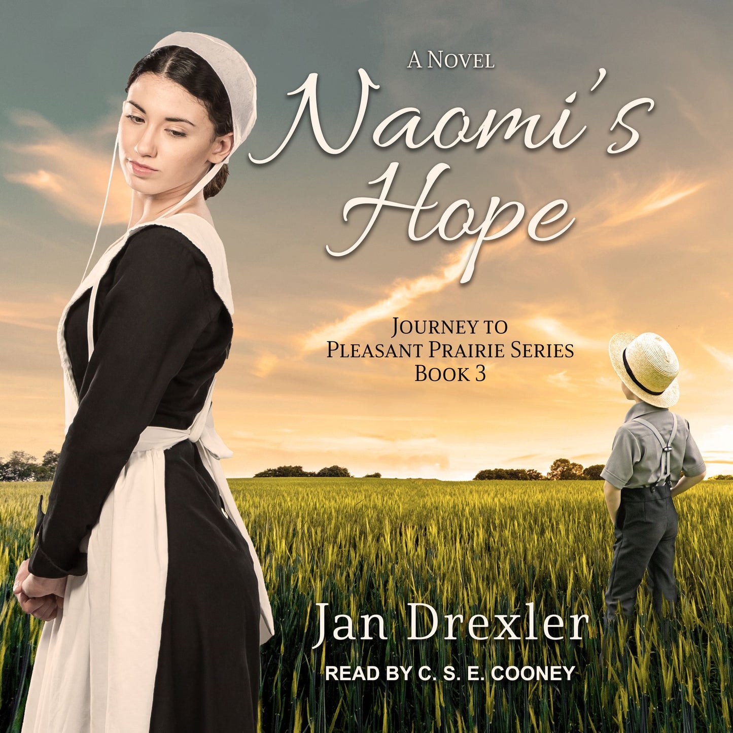 Naomi's Hope: Journey to Pleasant Prairie Series, Book 3