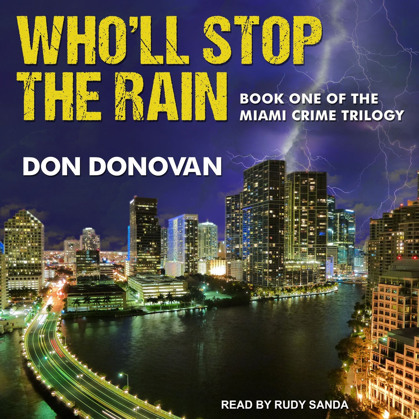 Who'll Stop The Rain: Miami Crime Trilogy, Book 1