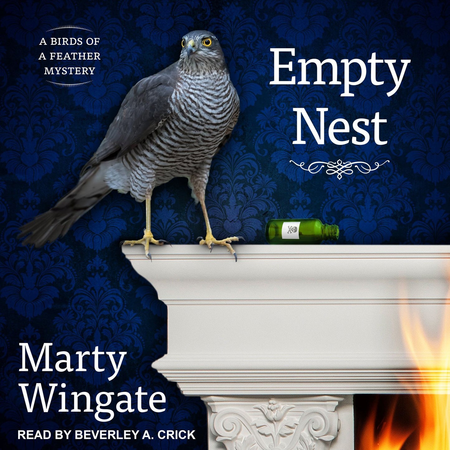 Empty Nest: A Birds of a Feather Mystery
