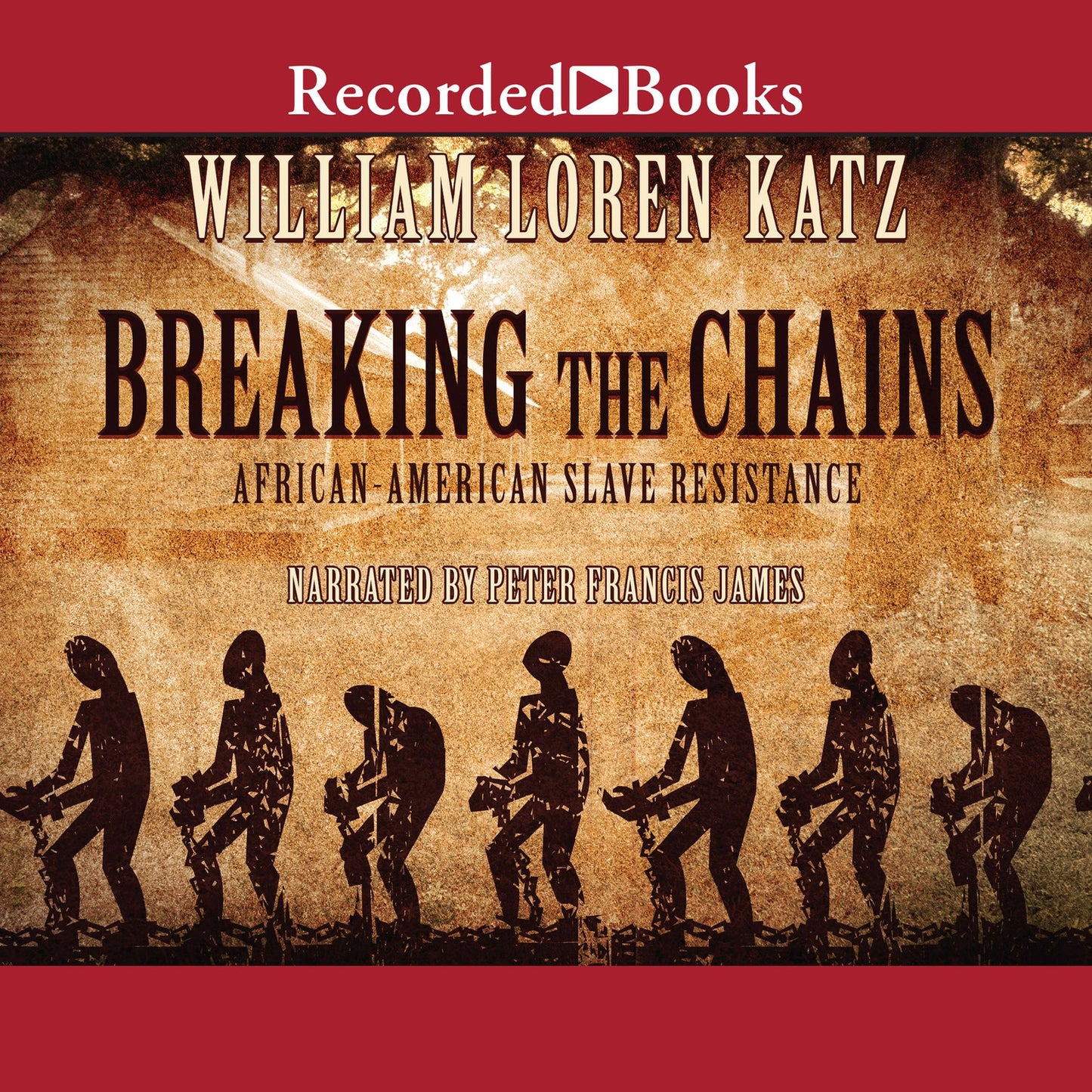 Breaking the Chains: African American Slave Resistance