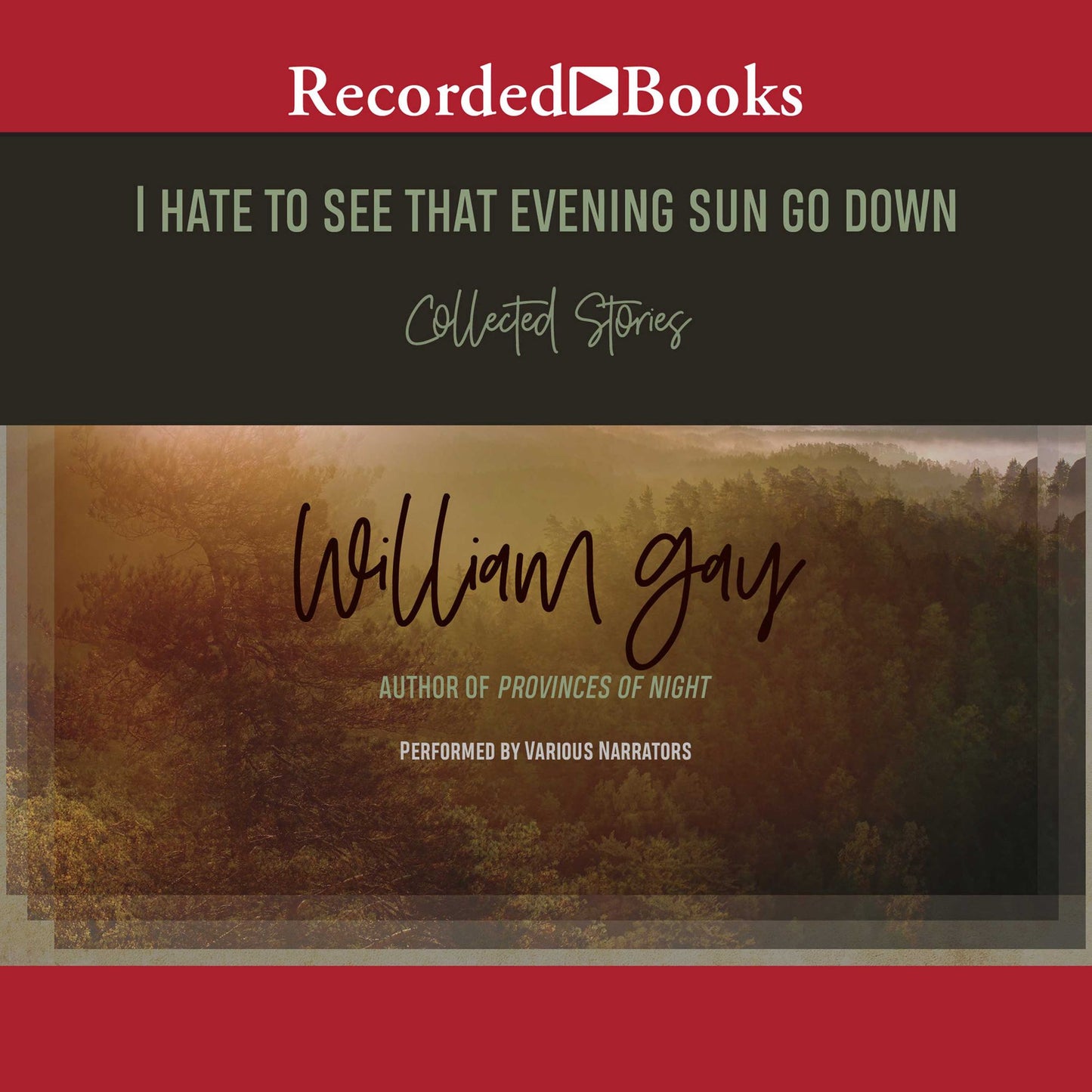 I Hate To See That Evening Sun Go Down: Collected Stories