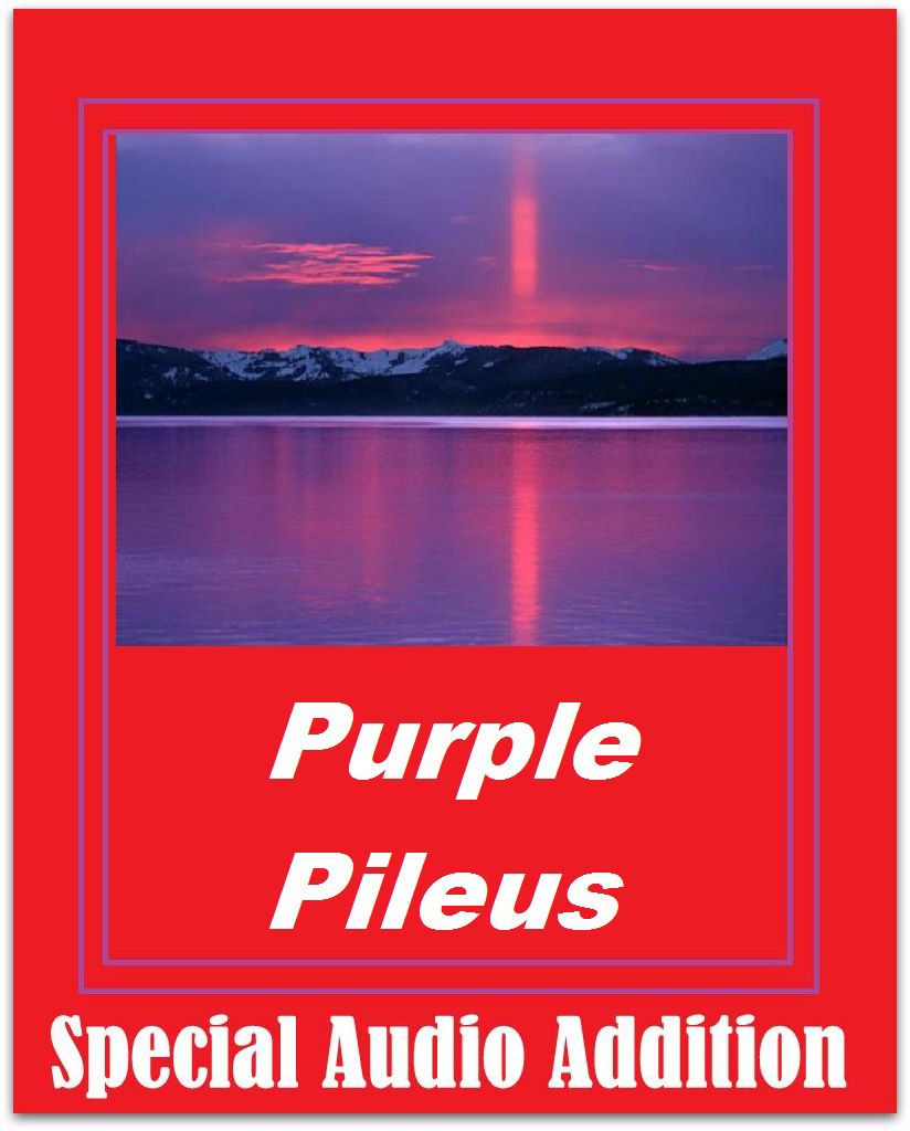 The Purple Pileus