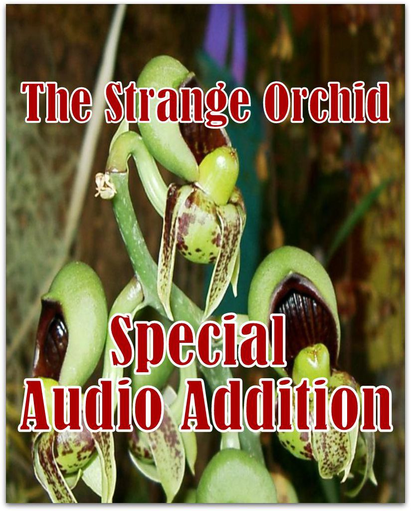 The Strange Orchid