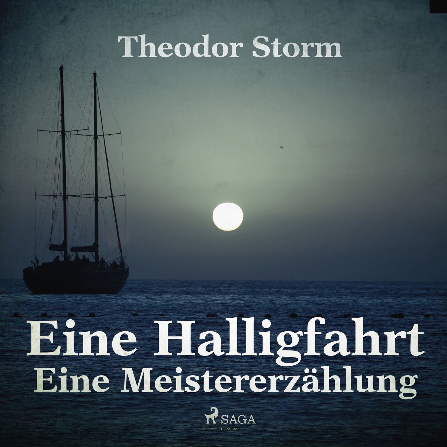 Eine Halligfahrt - Eine MeistererzÃ¤hlung (UngekÃ¼rzt)