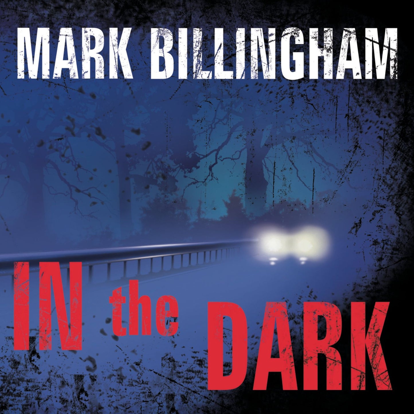 In the Dark: A Novel