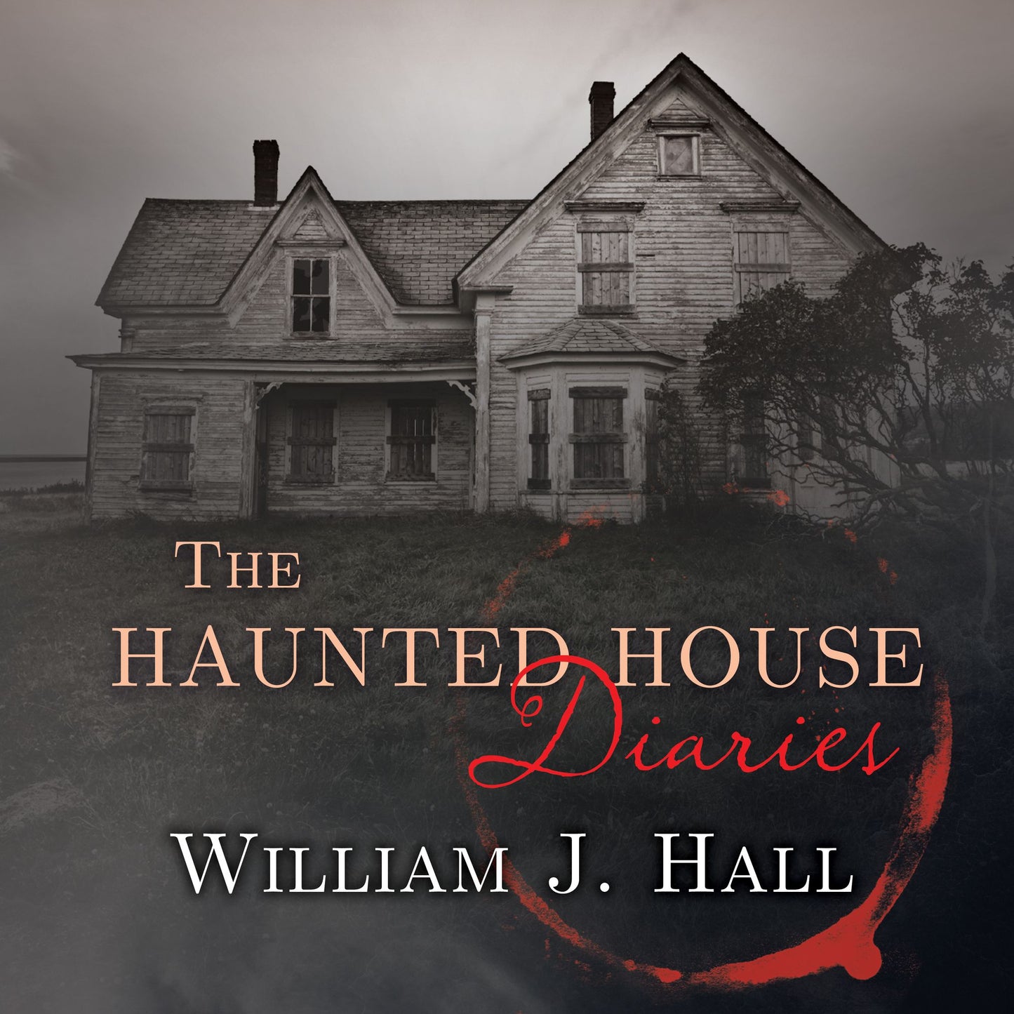 The Haunted House Diaries: The True Story of a Quiet Connecticut Town in the Center of a Paranormal Mystery