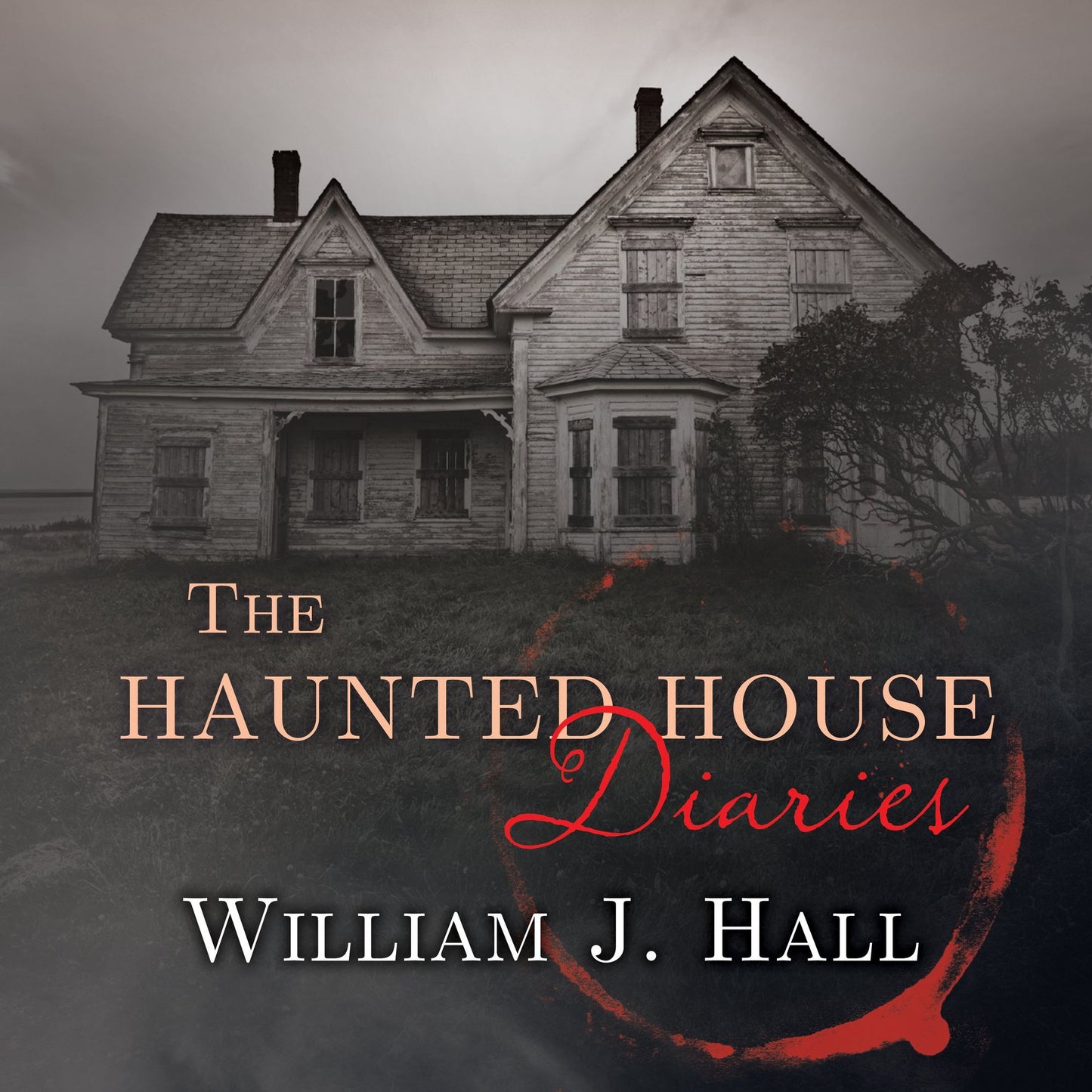 The Haunted House Diaries: The True Story of a Quiet Connecticut Town in the Center of a Paranormal Mystery
