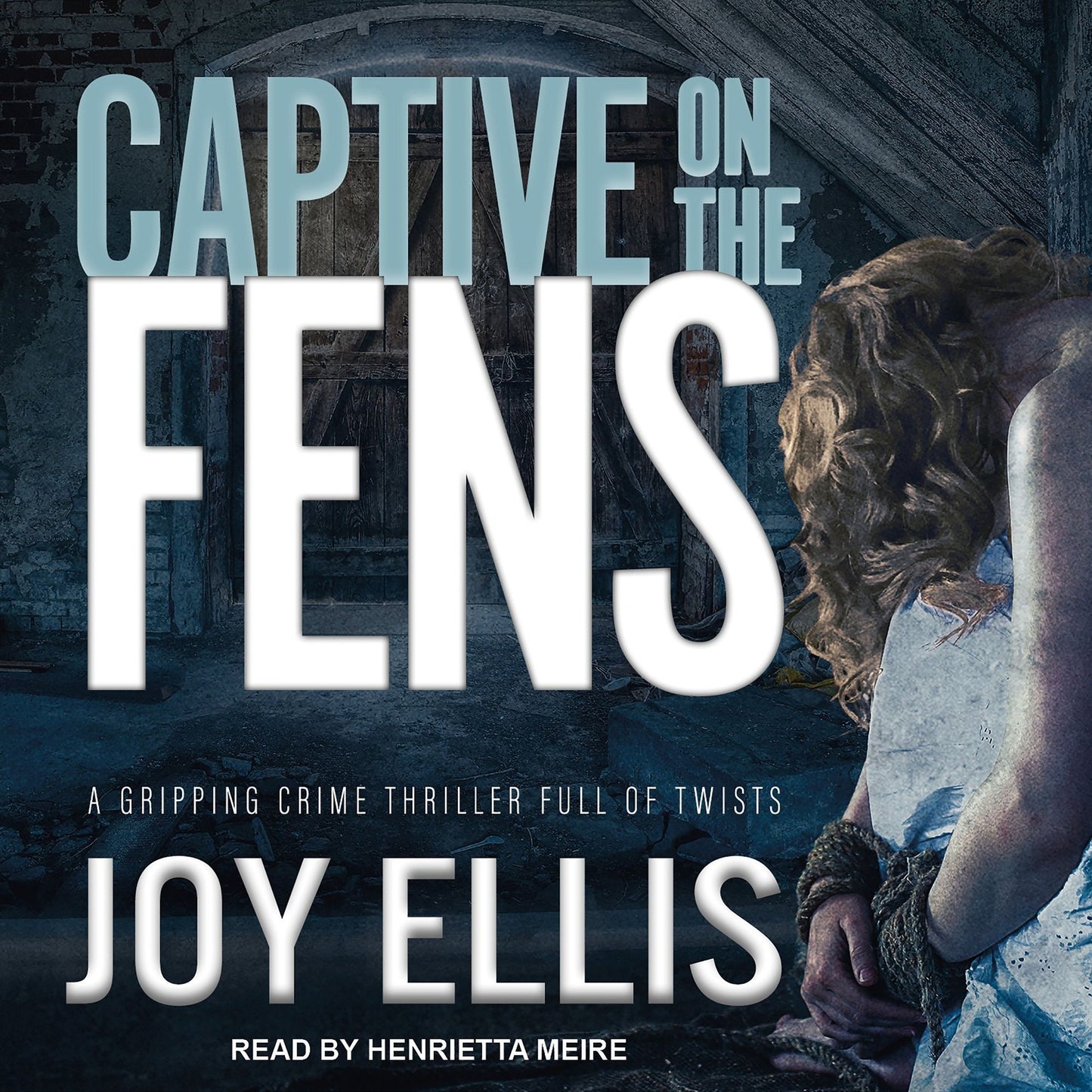 Captive on the Fens: A Gripping Crime Thriller Full Of Twists