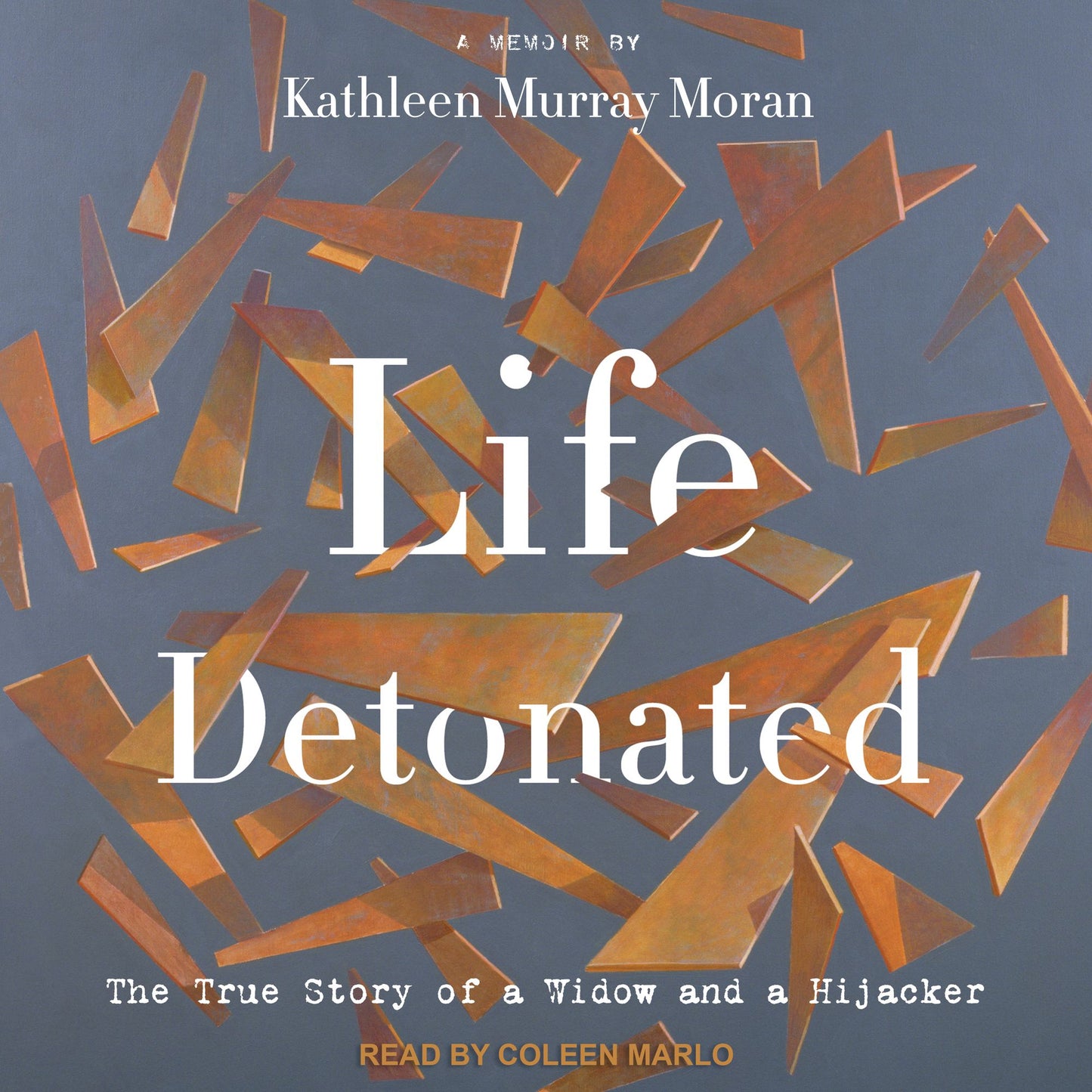 Life Detonated: The True Story of a Widow and a Hijacker