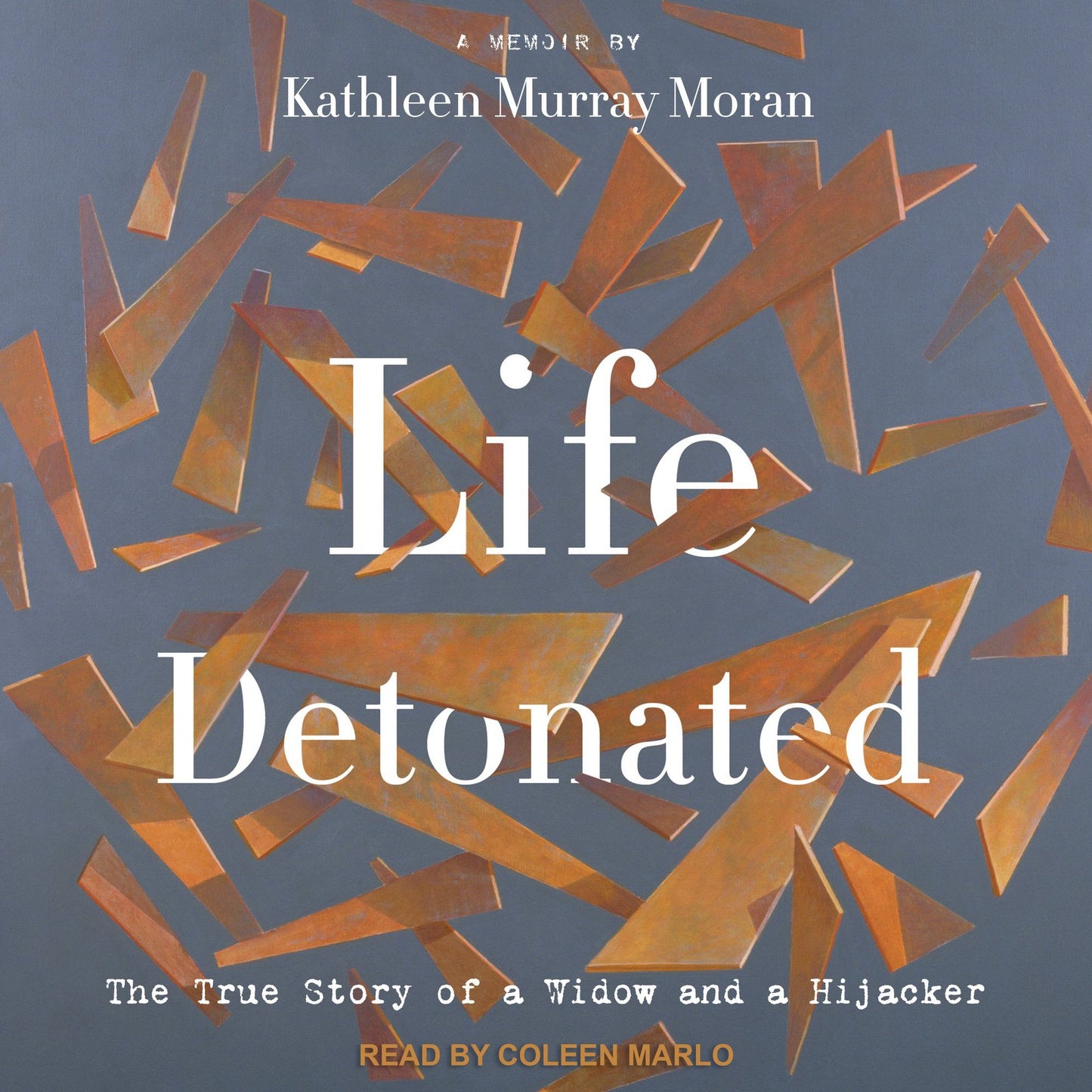 Life Detonated: The True Story of a Widow and a Hijacker