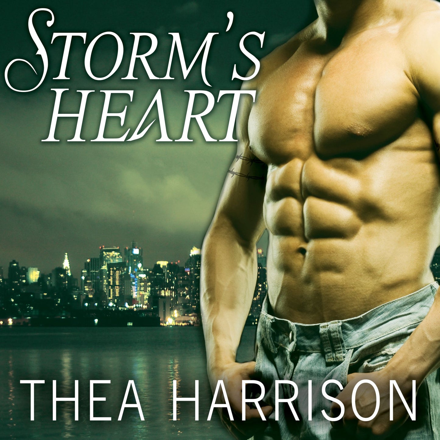 Storm's Heart
