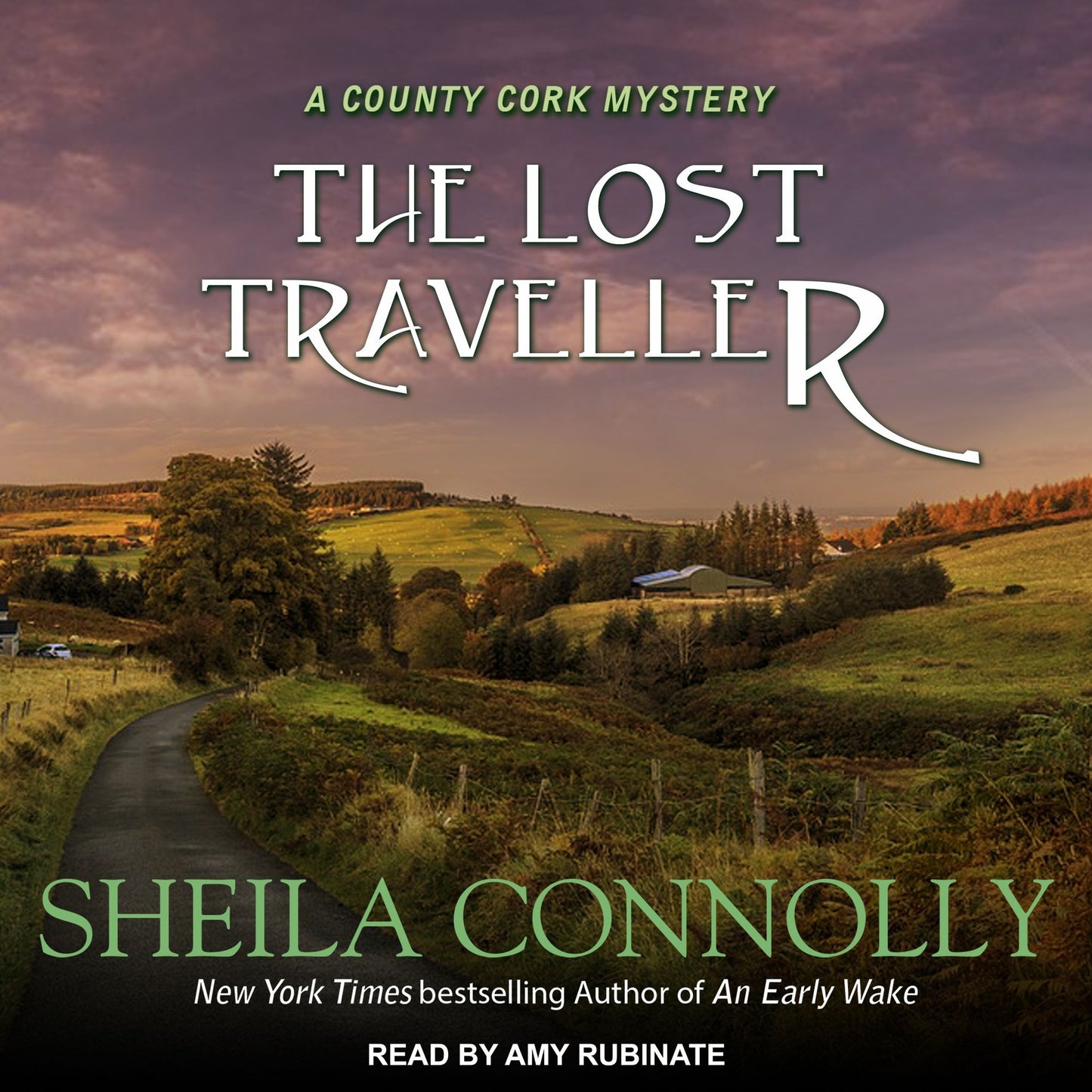 The Lost Traveller: A County Cork Mystery, Book 7