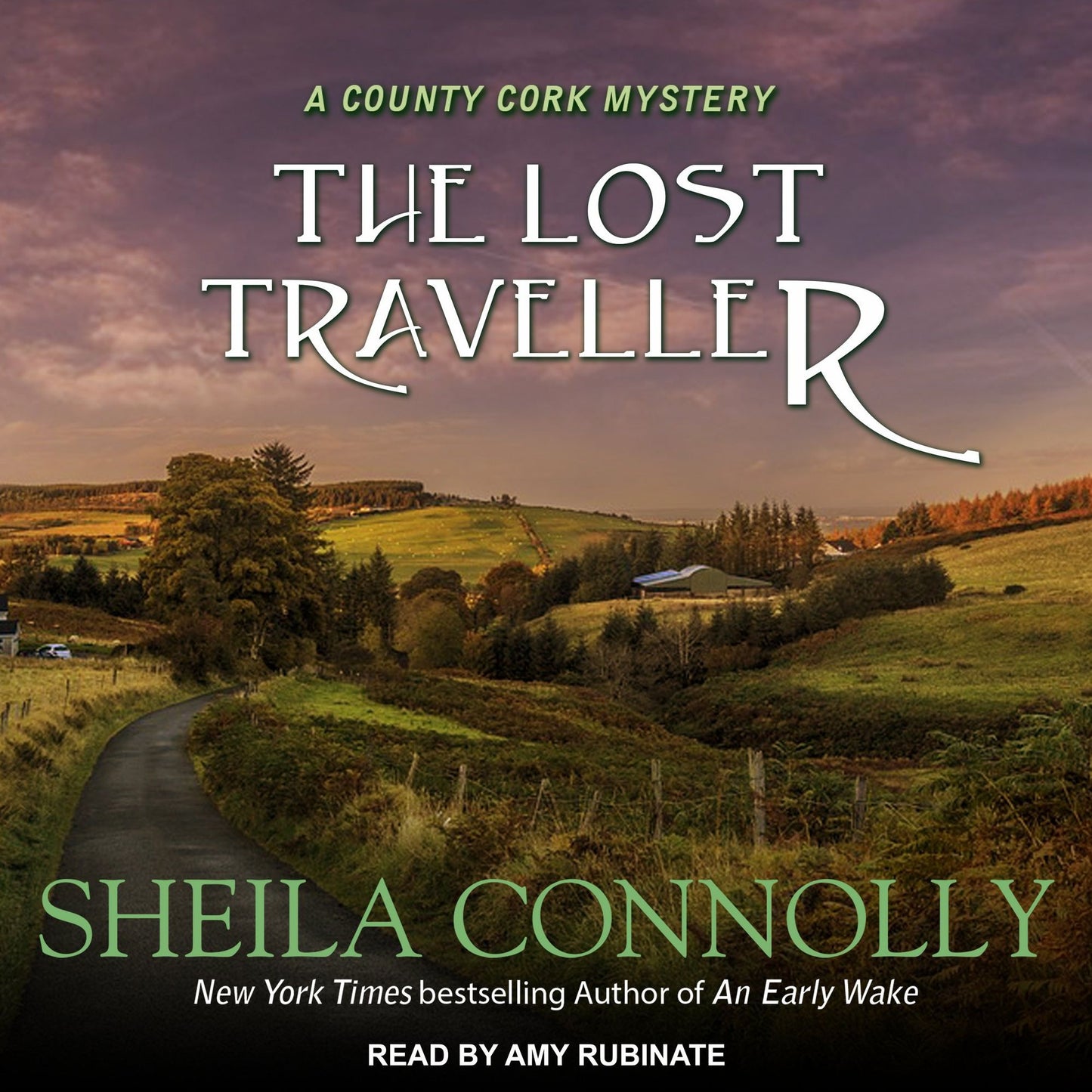 The Lost Traveller: A County Cork Mystery, Book 7