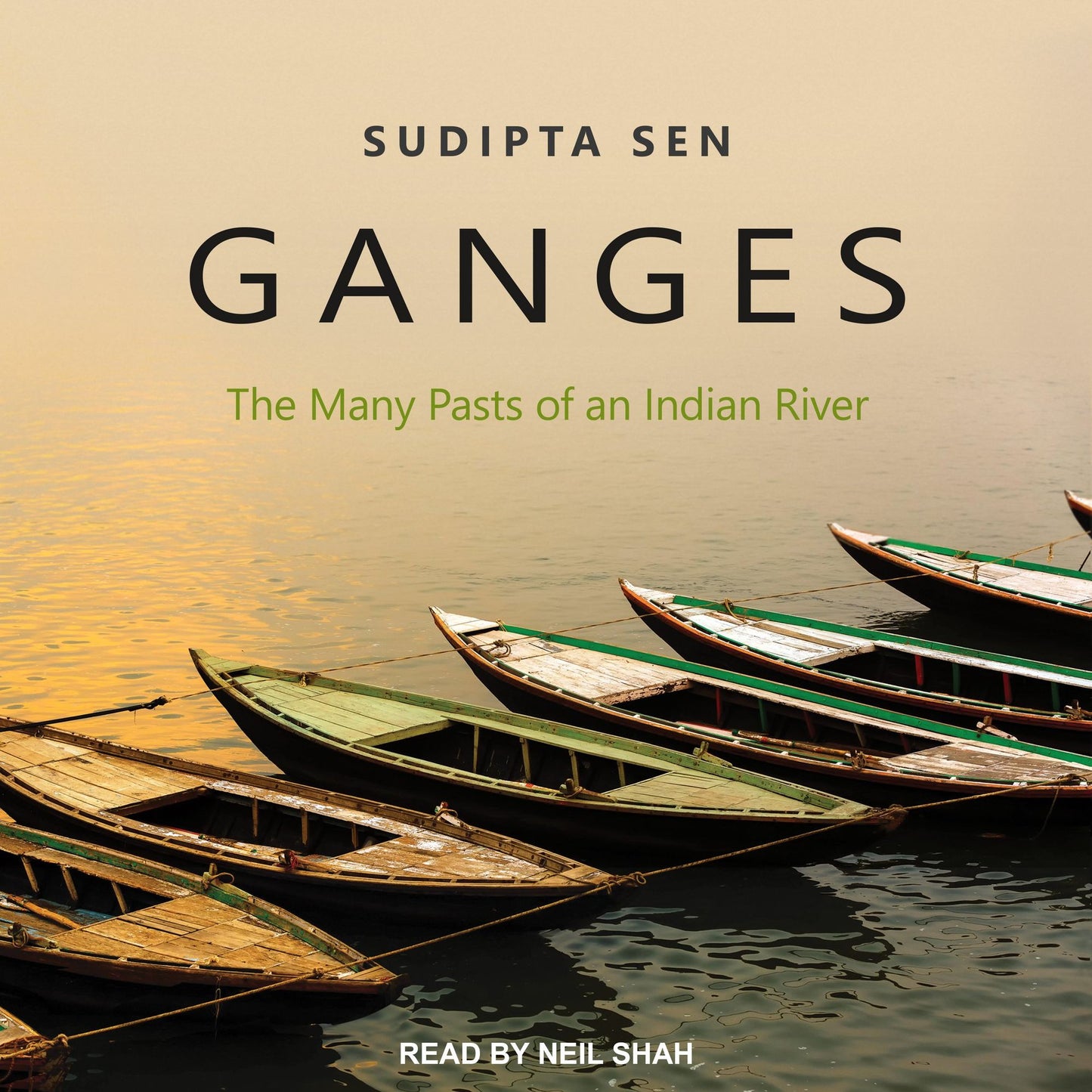Ganges: The Many Pasts of an Indian River