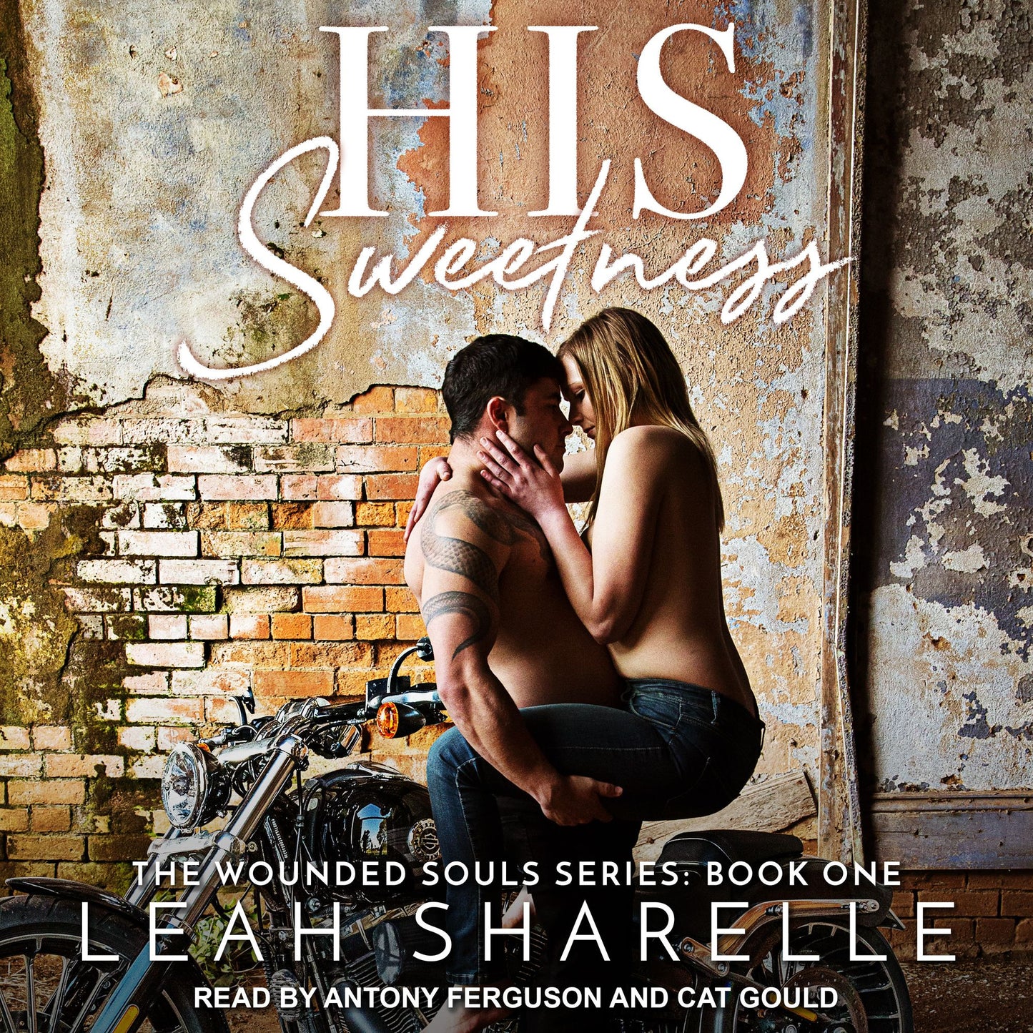 His Sweetness: The Wounded Souls Series, Book 1