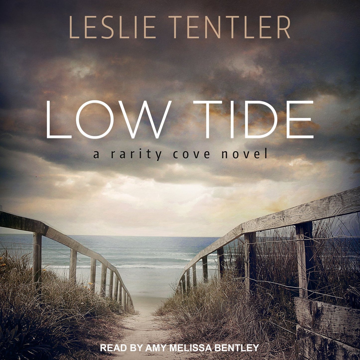 Low Tide: a rarity cove novel
