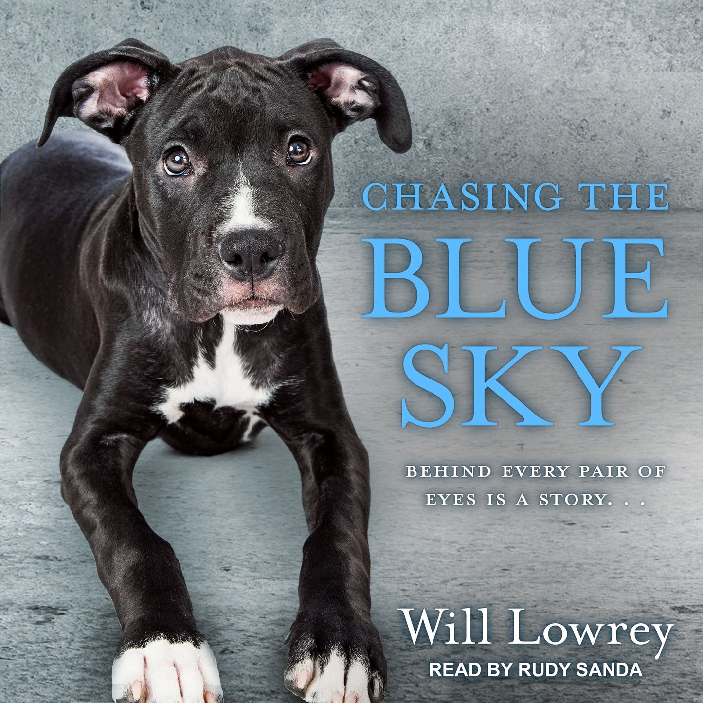Chasing the Blue Sky: Behind Every Pair Of Eyes Is A Story. . .