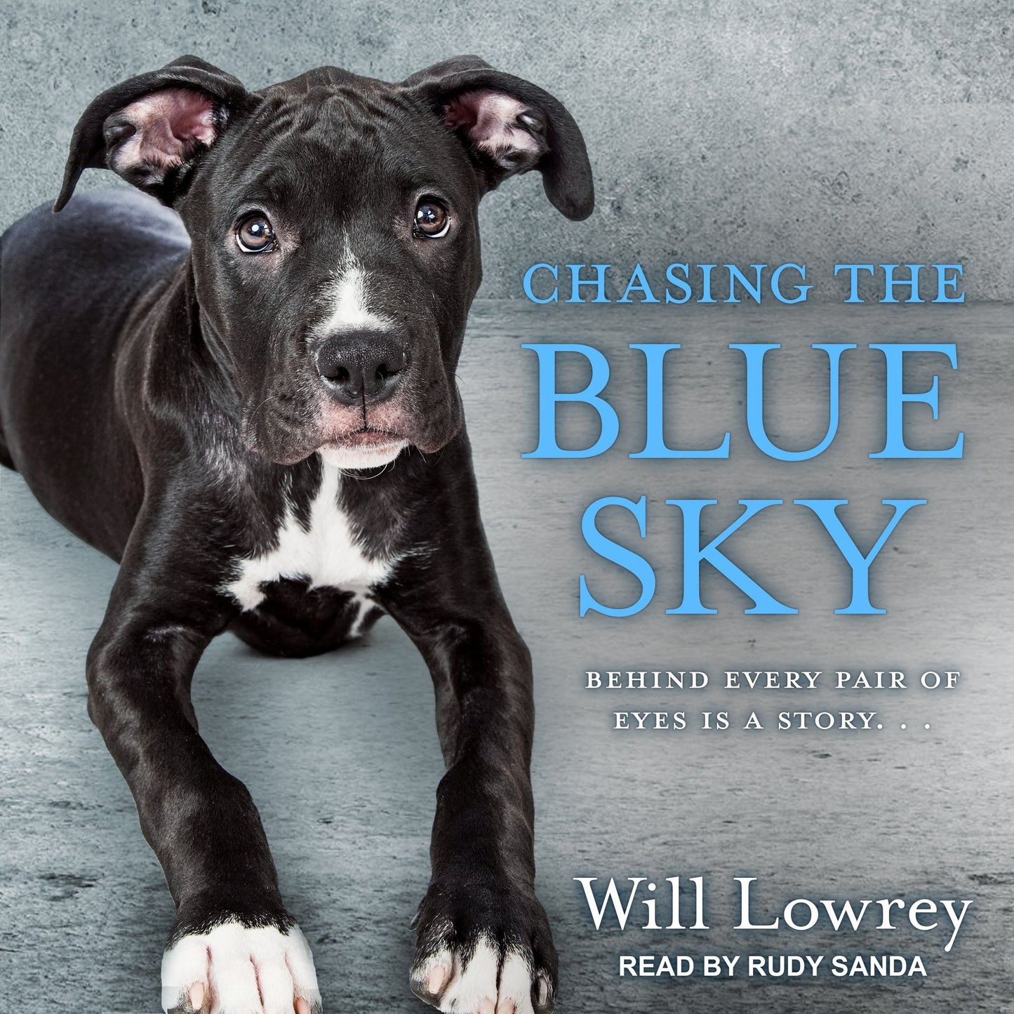 Chasing the Blue Sky: Behind Every Pair Of Eyes Is A Story. . .