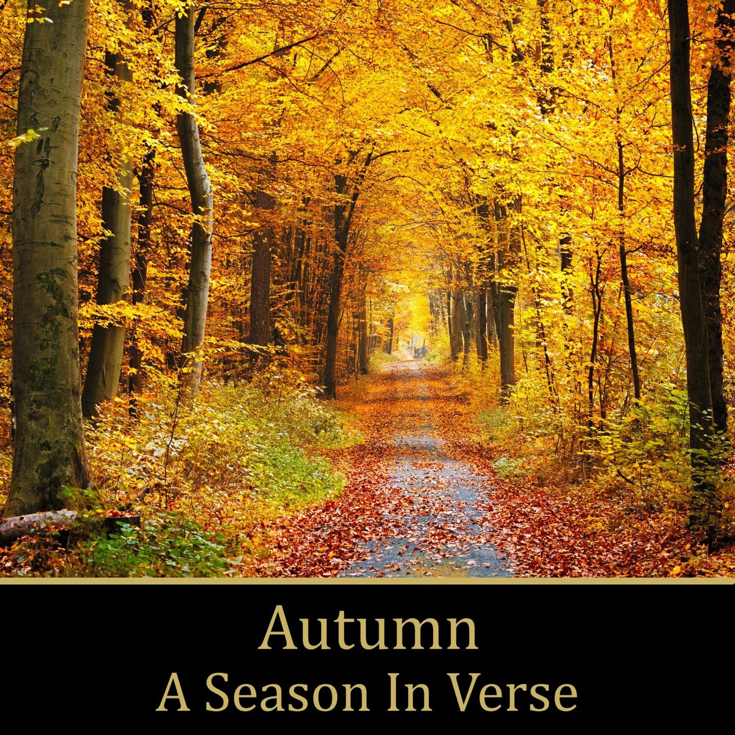 Autumn: A Season In Verse