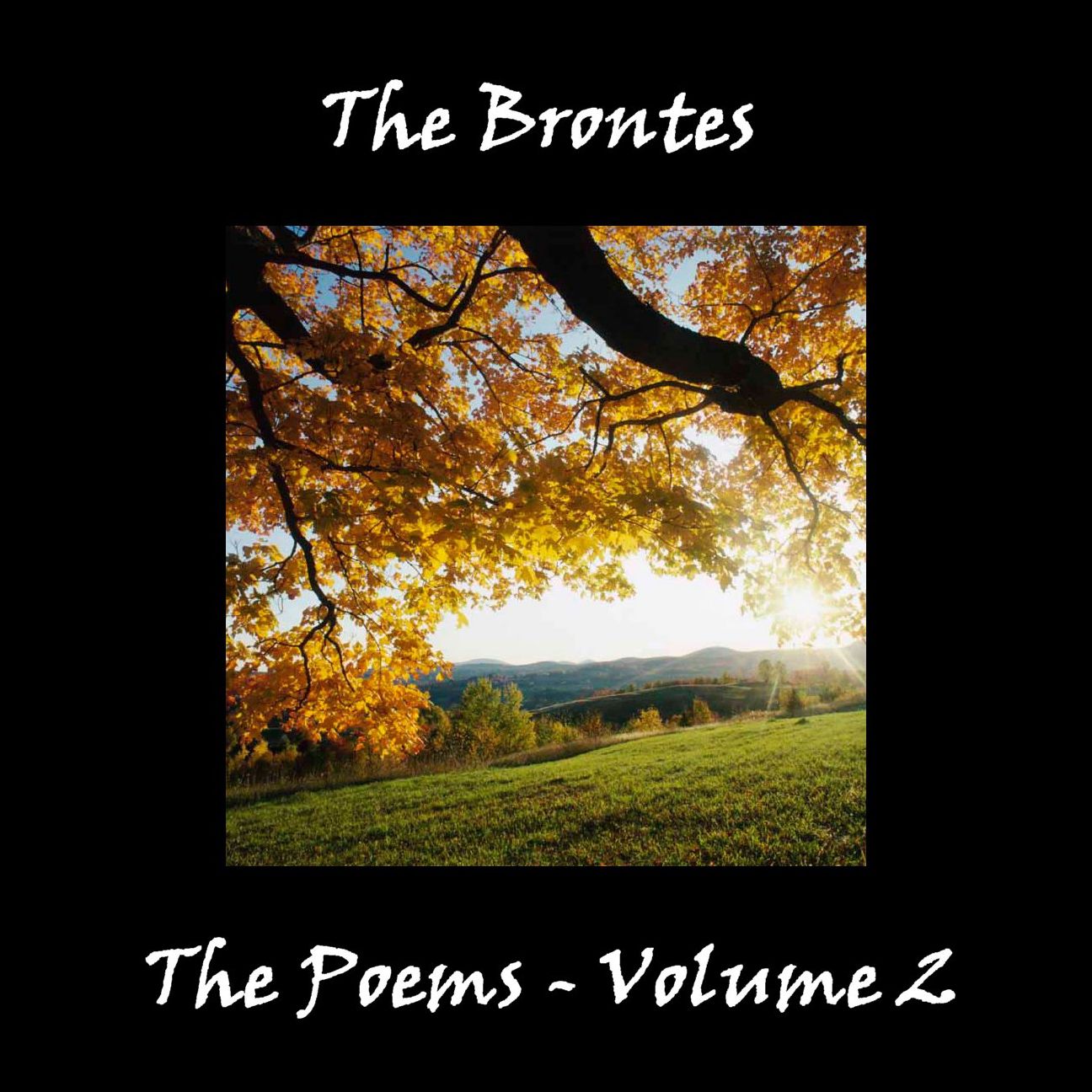 The Brontes: The Poems: Volume 2
