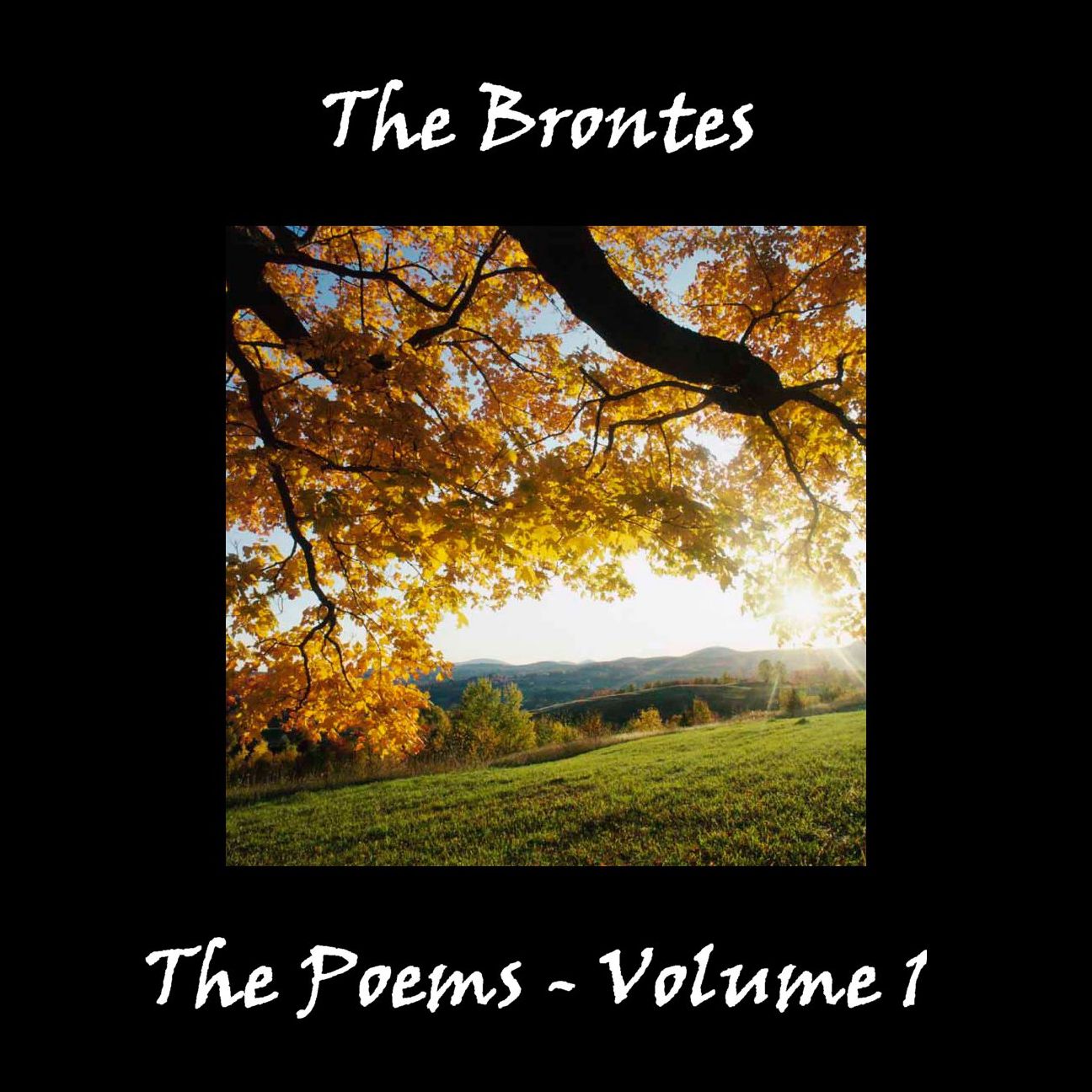 The Brontes: The Poems: Volume 1