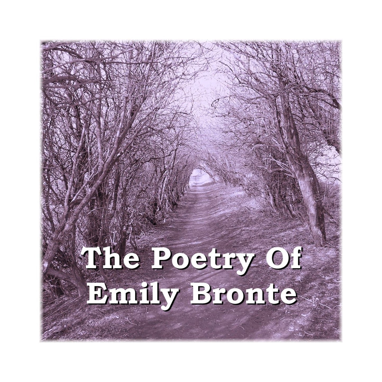 The Poetry Of Emily Jane Bronte