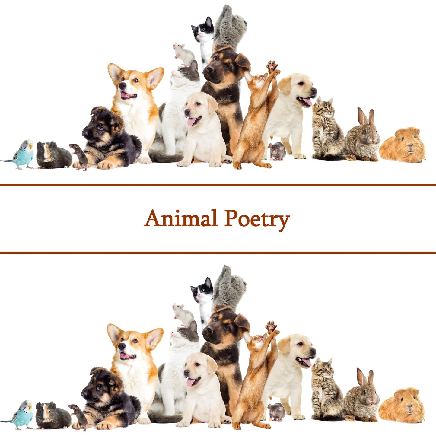 The Poetry Of Animals