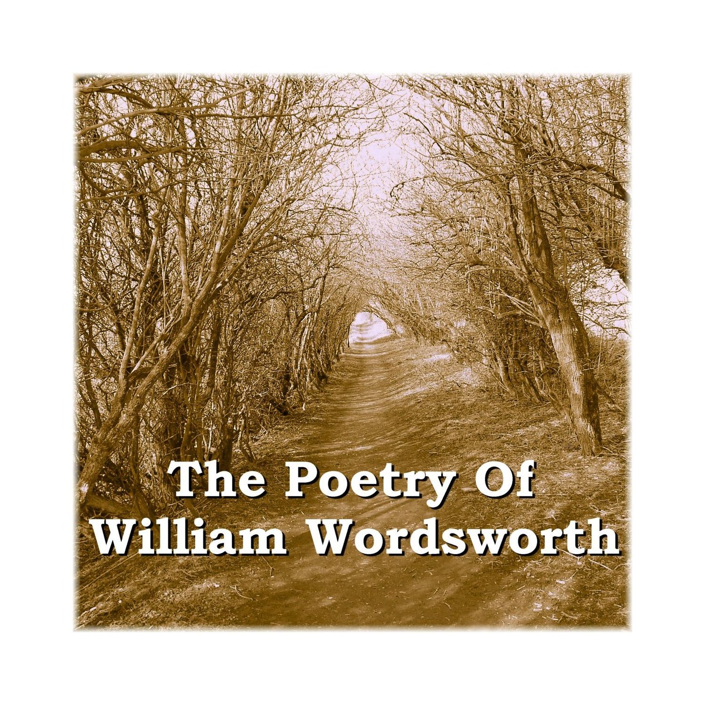 The Poetry Of William Wordsworth