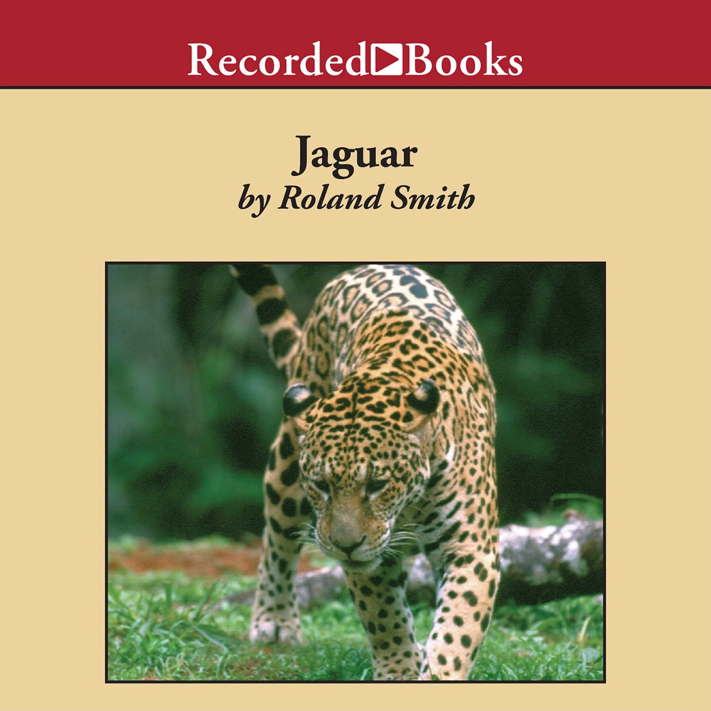 Jaguar