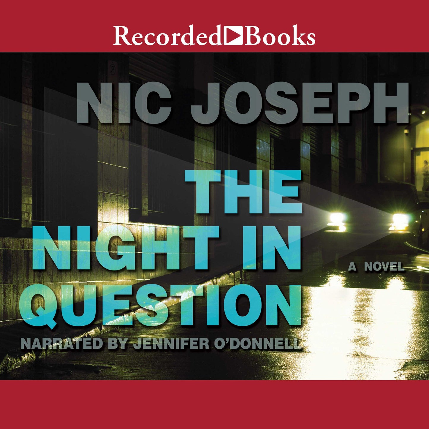 The Night in Question: A Novel