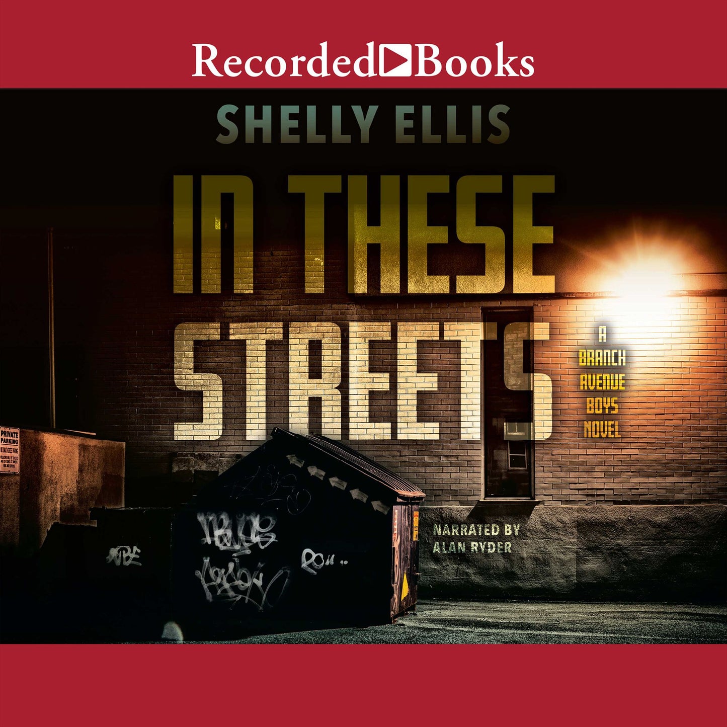 In These Streets: A Branch Avenue Boys Novel