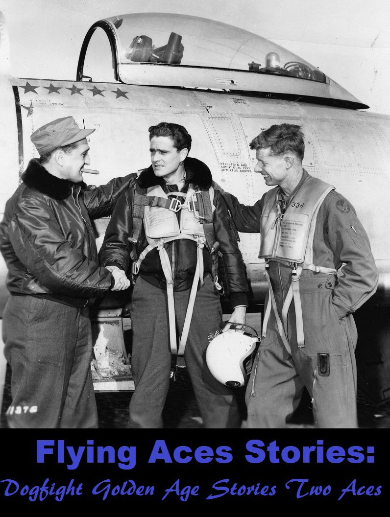 Flying Aces Stories: Dogfight Golden Age Stories Two Aces