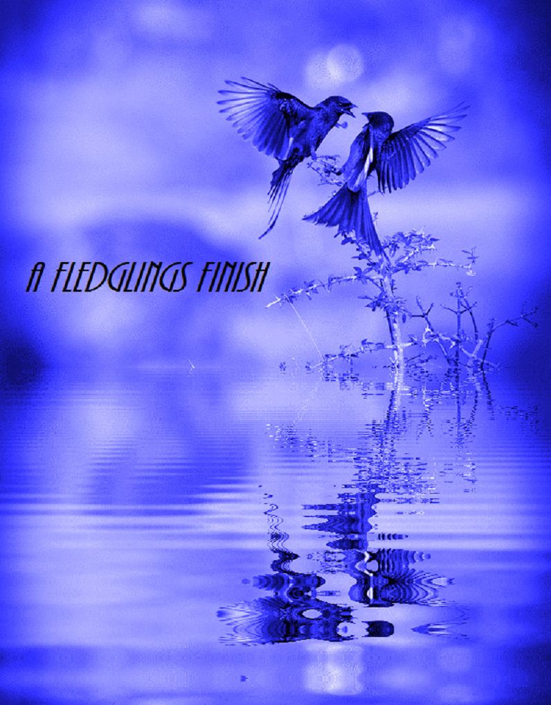 A Fledglings Finish