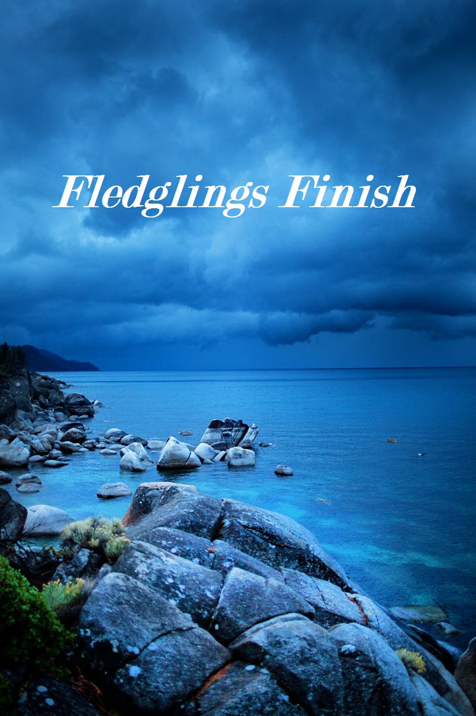 Fledglings Finish #1