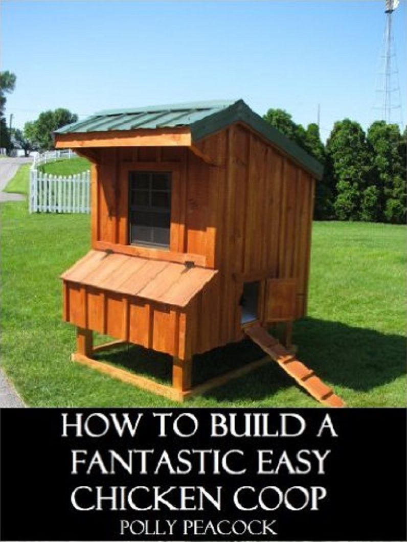 How to Build a Fantastic Simple Chicken Coop